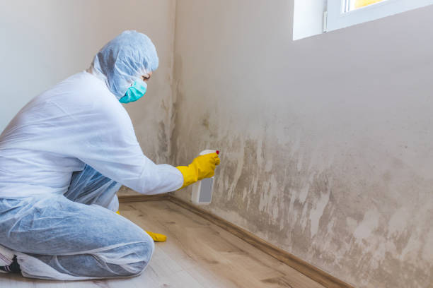 Licensed Mold Testing service in Midland, NC - WQB Mold Removal