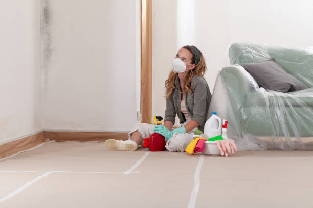 Reliable Mold Testing contractor in Midland, NC by WQB Mold Removal
